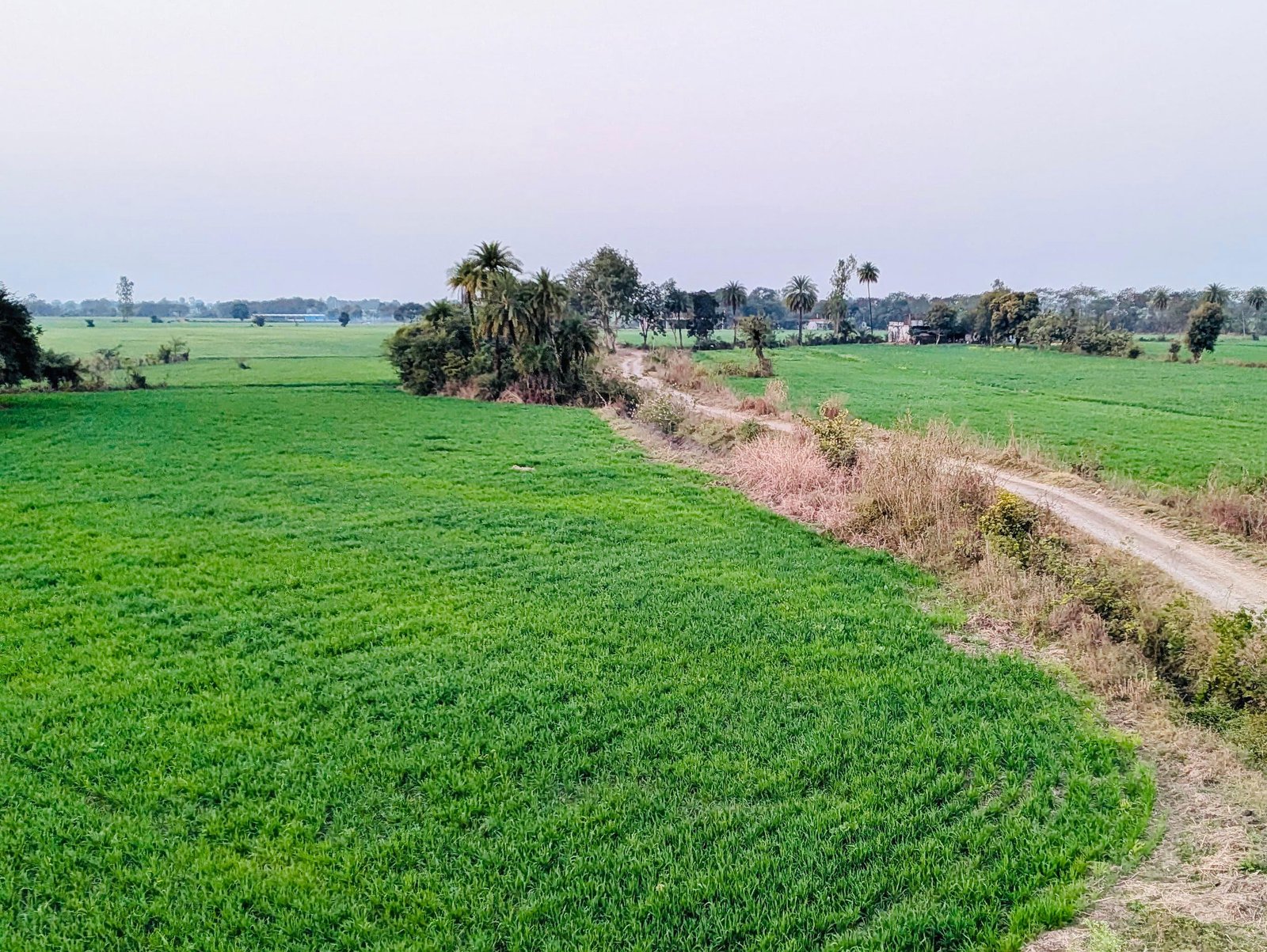 Ramakhedi Near Bilkisganj