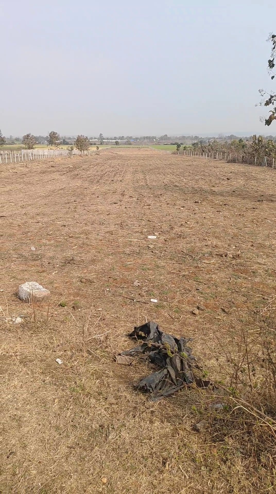 4 acre agriculture/commercial land for sale in bilkishganj near mansarovar university