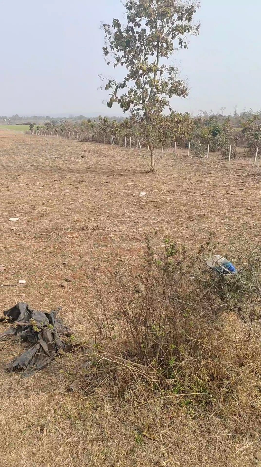 4 acre agriculture/commercial land for sale in bilkishganj near mansarovar university