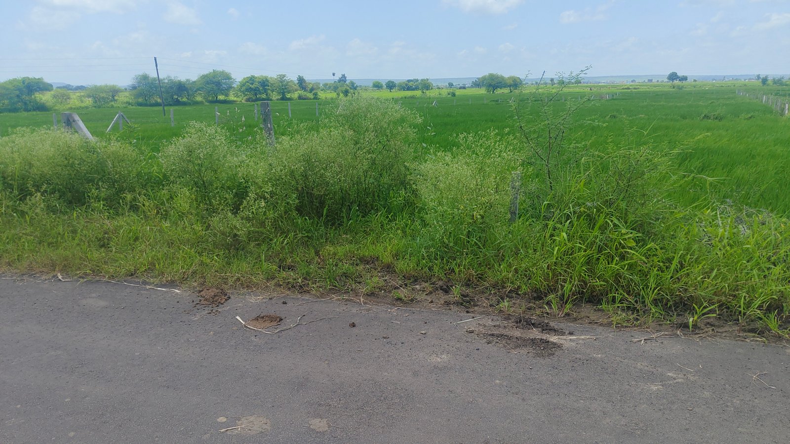 2 acre agriculture/commercial land for sale
