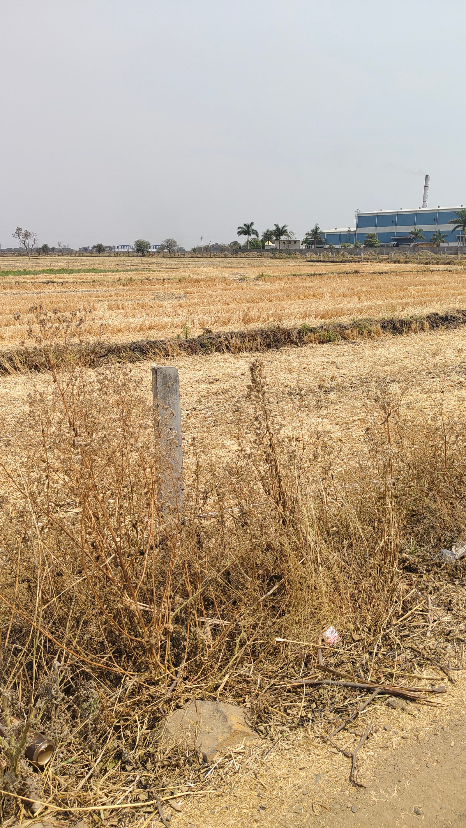 2 acre industrial land for sale in mandideep