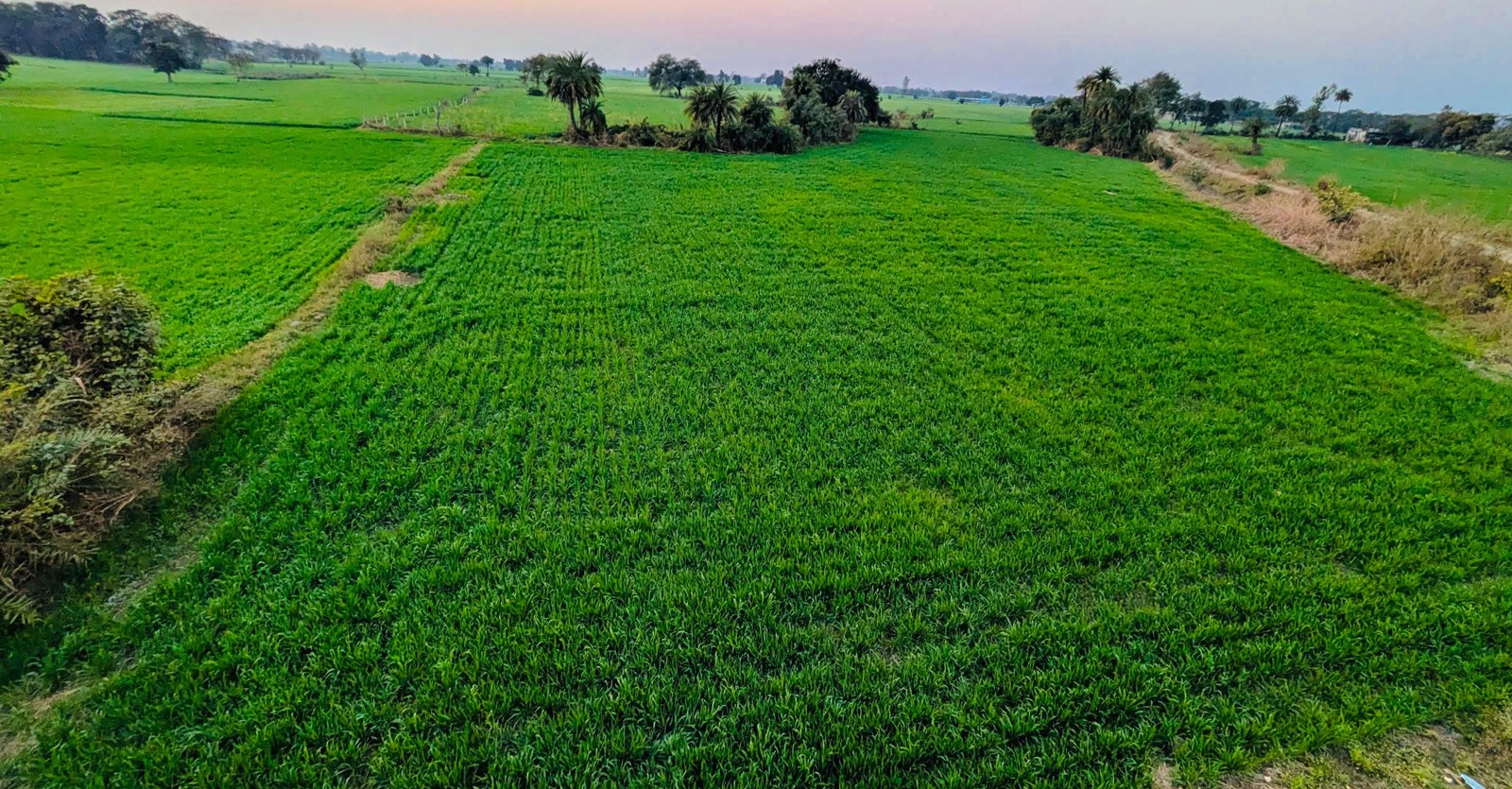 10000 स्क्वायर फीट फ़ार्म लैंड