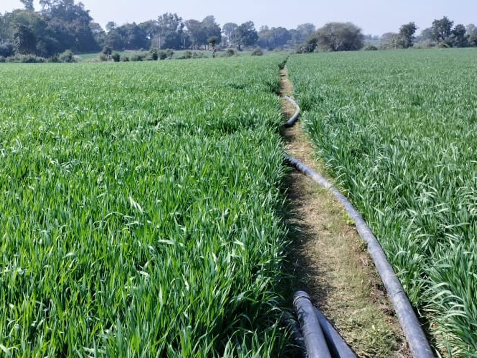 Agriculture Land - Village Anwalikheda
